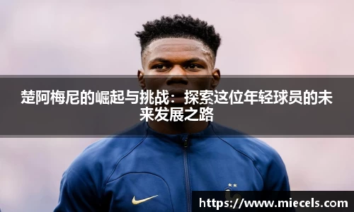 易游